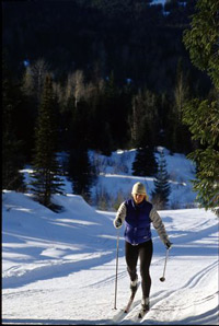 Cross Country Skiing