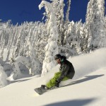 Shreddin' some great powder turns
