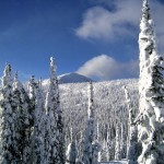 RED Mountain Opening Day!
