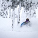 Untracked pow everywhere you see.