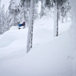 shreddin the pow through the trees